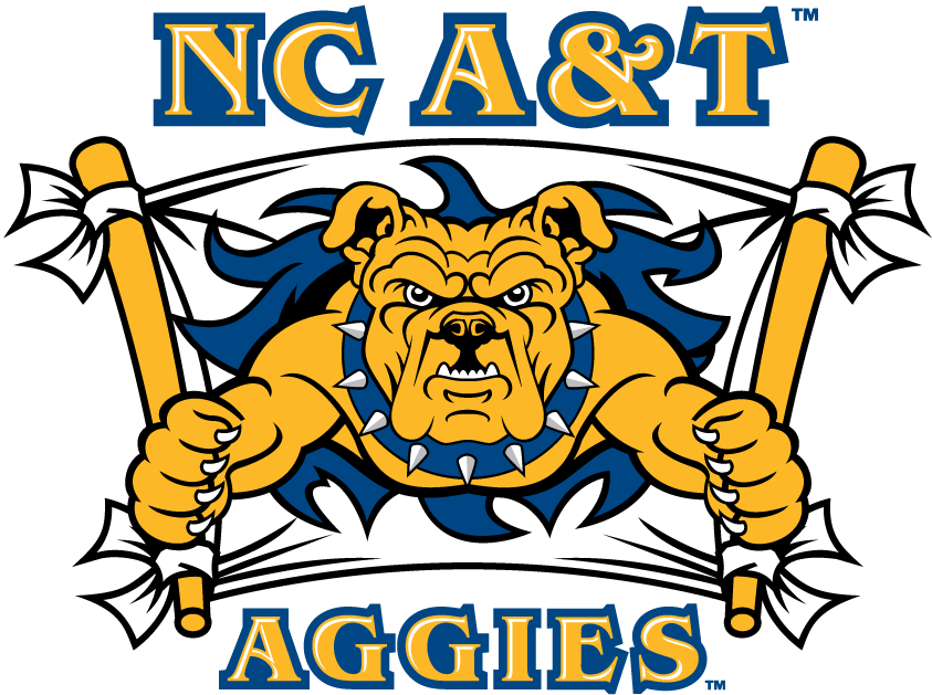 North Carolina A&T Aggies 2006-Pres Secondary Logo v3 t shirts iron on transfers